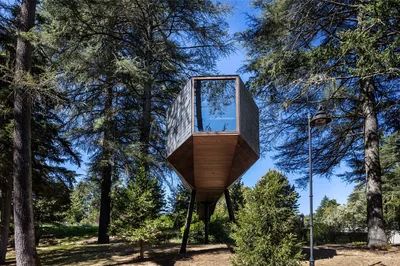 Tree House — Pedras Salgadas Park